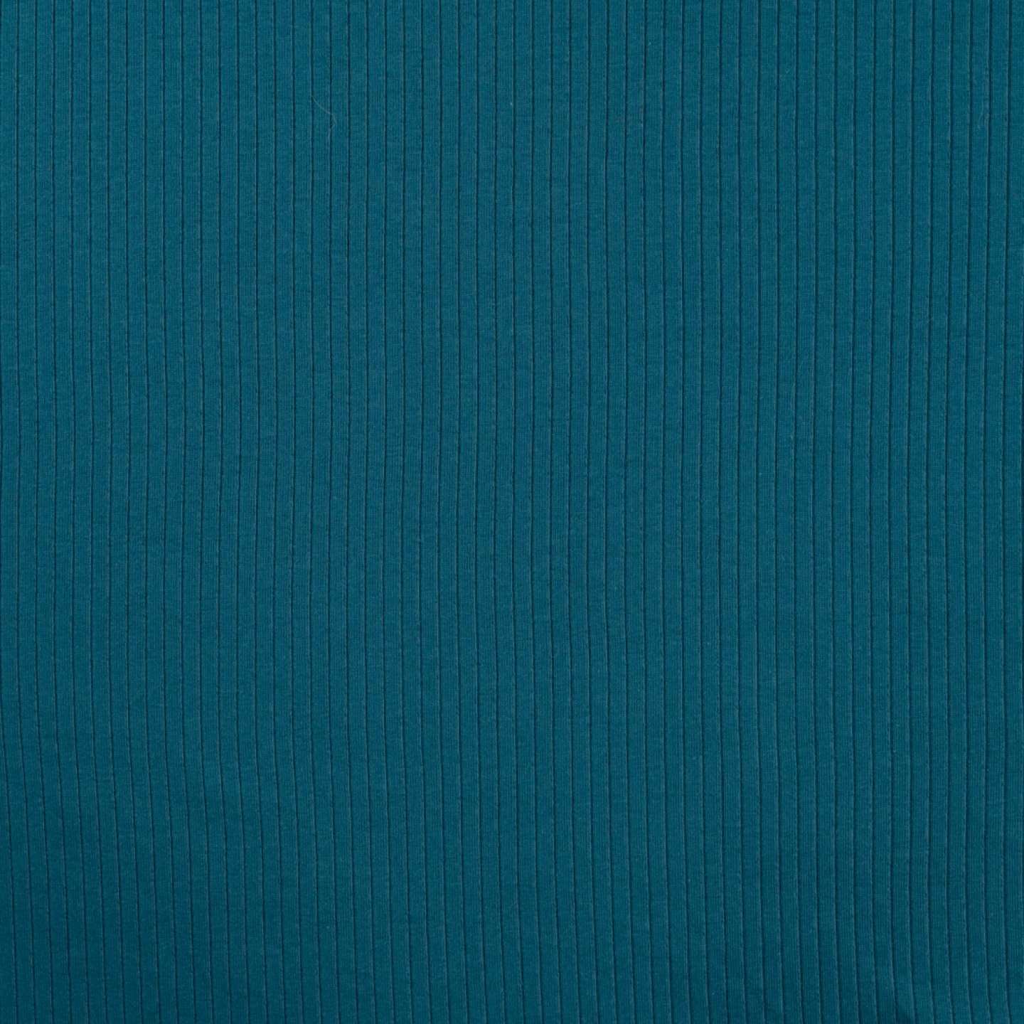 Jersey coton côte uni Bleu Paon