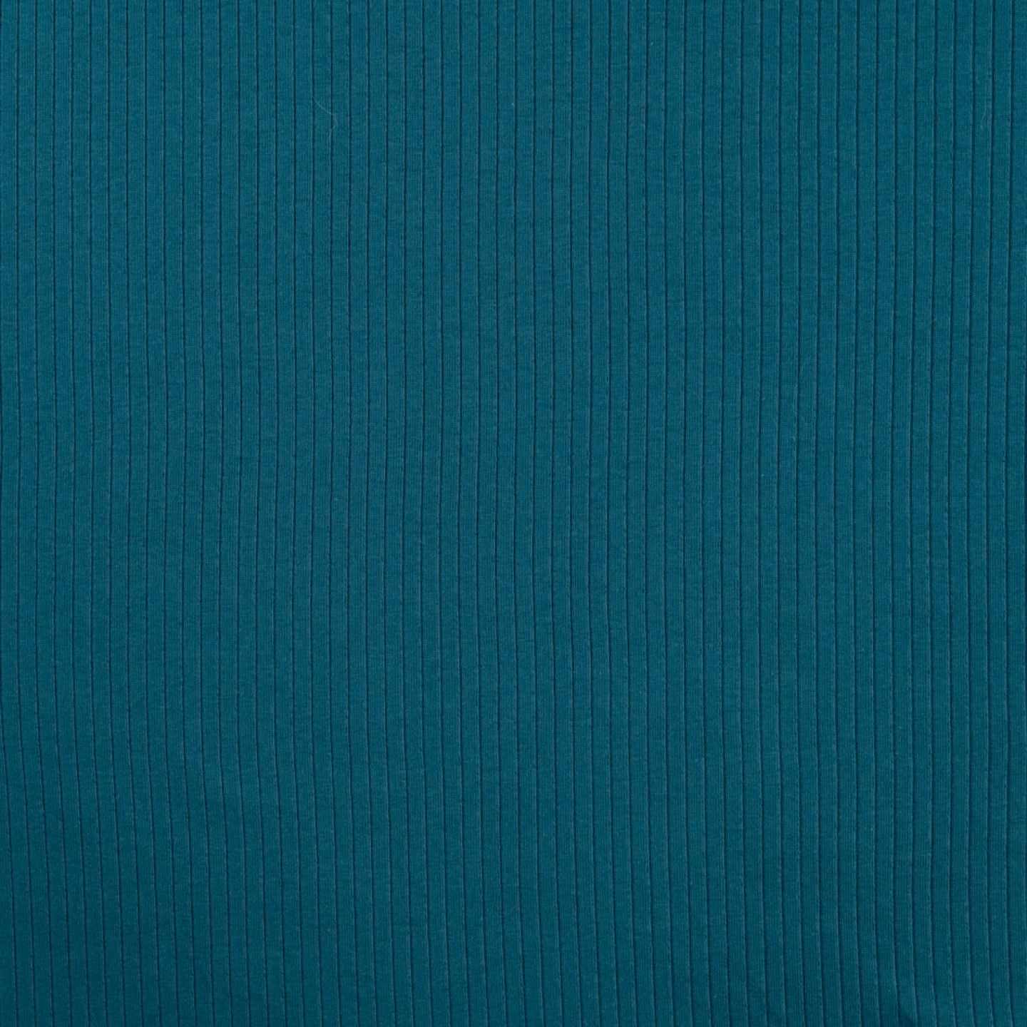 Jersey coton côte uni Bleu Paon