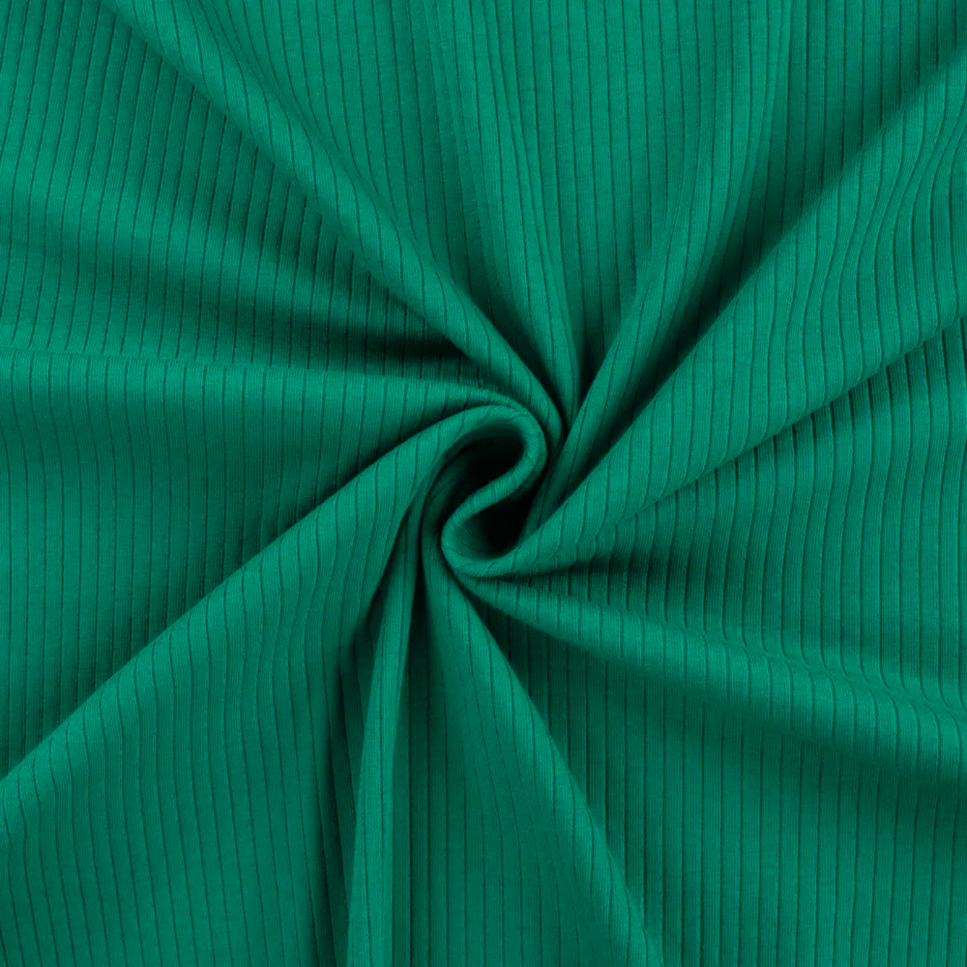 Jersey coton côte uni Vert Bouteille