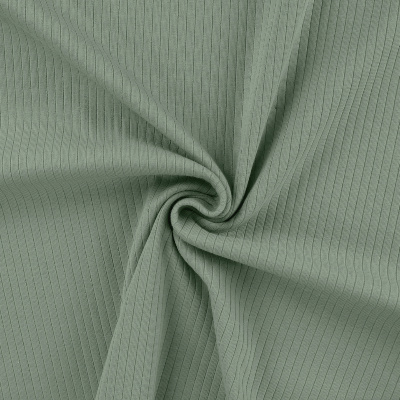 Jersey coton côte uni Vert Sauge