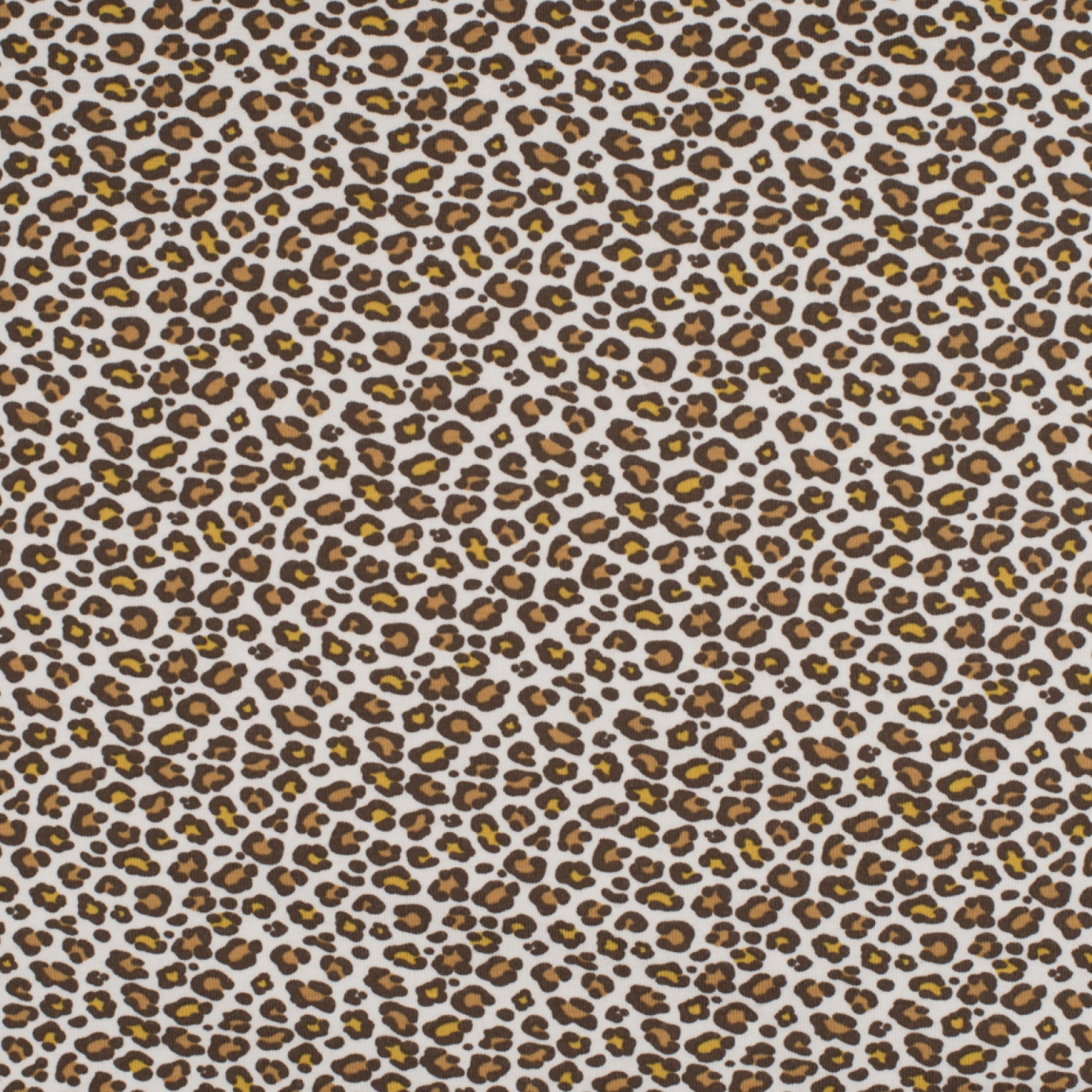 Jersey de coton bio print léopard Ecru