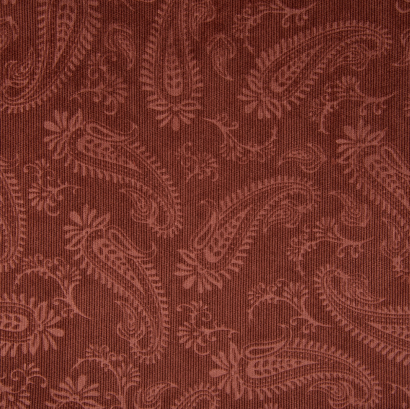 Velours milleraies à relief Terracotta